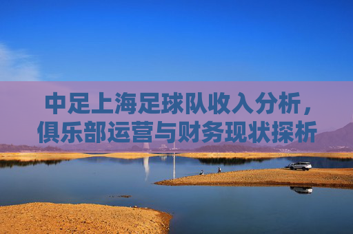 中足上海足球队收入分析,俱乐部运营与财务现状探析