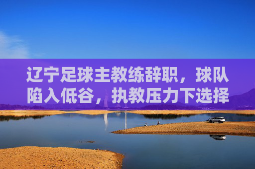 辽宁足球主教练辞职，球队陷入低谷，执教压力下选择卸任，辽宁足球主教练因球队低谷与执教压力辞职