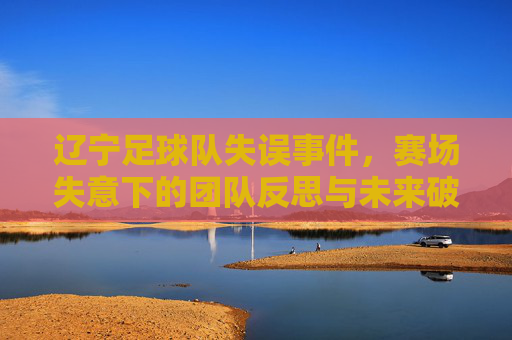 辽宁足球队失误事件,赛场失意下的团队反思与未来破局之路,辽宁足球队失误事件,赛场失意下的团队反思与未来破局之路
