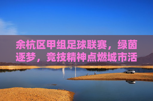 余杭区甲组足球联赛，绿茵逐梦，竞技精神点燃城市活力，余杭区甲组足球联赛，绿茵逐梦，竞技精神点燃城市活力