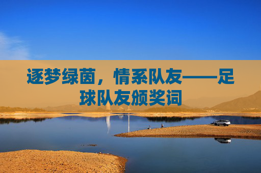 逐梦绿茵,情系队友——足球队友颁奖词