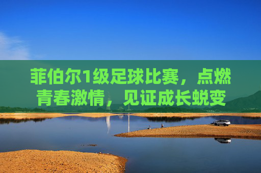 菲伯尔1级足球比赛，点燃青春激情，见证成长蜕变