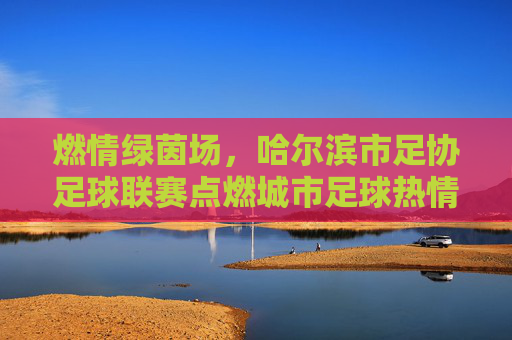 燃情绿茵场，哈尔滨市足协足球联赛点燃城市足球热情，燃情绿茵场，哈尔滨市足协足球联赛点燃城市足球热情