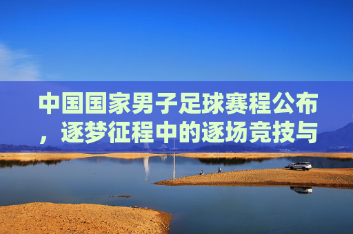 中国国家男子足球赛程公布，逐梦征程中的逐场竞技与期待