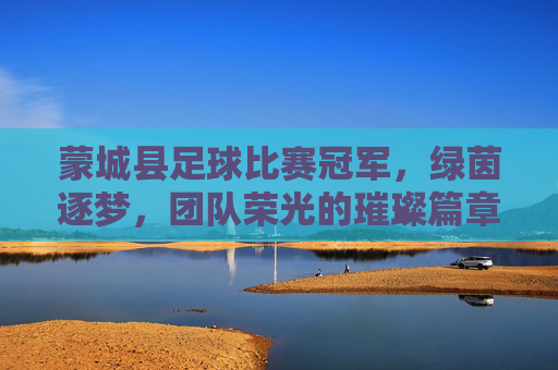蒙城县足球比赛冠军，绿茵逐梦，团队荣光的璀璨篇章