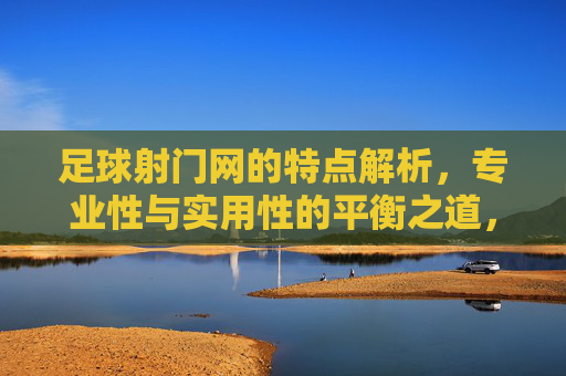 足球射门网的特点解析,专业性与实用性的平衡之道,足球射门网的特点解析,专业性与实用性的平衡之道