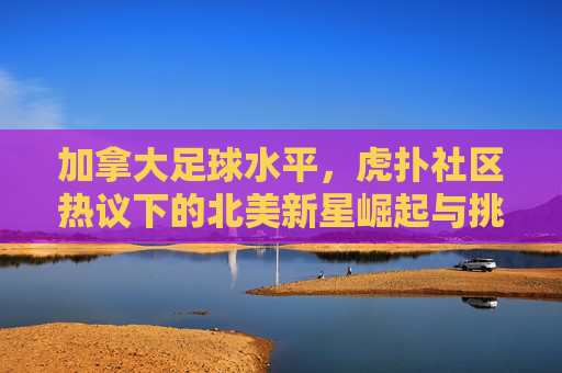 加拿大足球水平,虎扑社区热议下的北美新星崛起与挑战