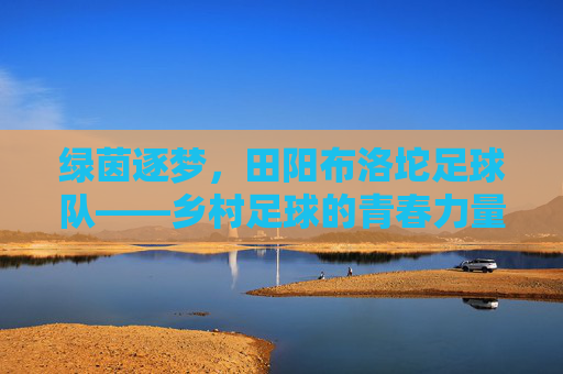 绿茵逐梦,田阳布洛坨足球队——乡村足球的青春力量与梦想传承,绿茵逐梦,田阳布洛坨足球队——乡村足球的青春力量与梦想传承