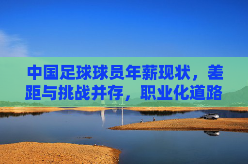 中国足球球员年薪现状，差距与挑战并存，职业化道路的阵痛与希望，中国足球球员年薪现状，差距与挑战并存，职业化道路的阵痛与希望