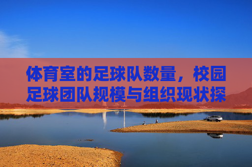 体育室的足球队数量，校园足球团队规模与组织现状探析，校园足球团队规模与组织现状，体育室足球队数量的分析