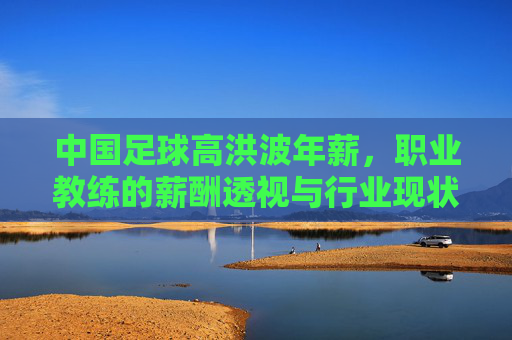 中国足球高洪波年薪，职业教练的薪酬透视与行业现状反思