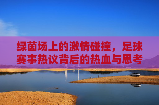 绿茵场上的激情碰撞，足球赛事热议背后的热血与思考