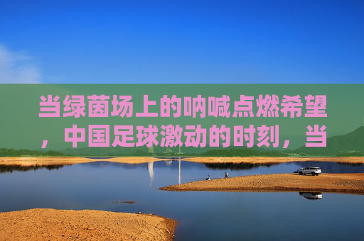 当绿茵场上的呐喊点燃希望,中国足球激动的时刻,当绿茵场上的呐喊点燃希望,中国足球激动的时刻