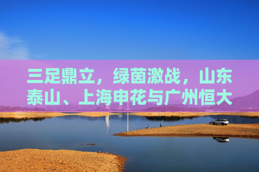 三足鼎立,绿茵激战,山东泰山、上海申花与广州恒大的中超巅峰对决,三强争锋,山东泰山、上海申花与广州恒大中超巅峰对决