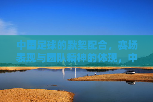 中国足球的默契配合，赛场表现与团队精神的体现，中国足球的默契配合，赛场表现与团队精神的体现