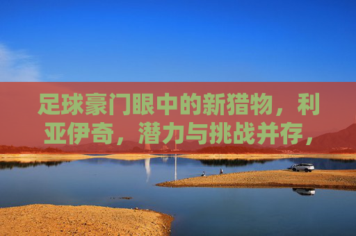 足球豪门眼中的新猎物，利亚伊奇，潜力与挑战并存，足球豪门眼中的新猎物，利亚伊奇，潜力与挑战并存