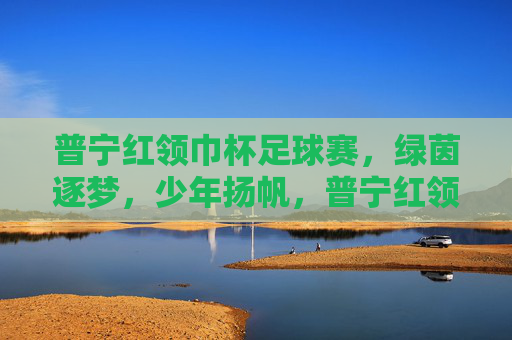 普宁红领巾杯足球赛，绿茵逐梦，少年扬帆，普宁红领巾杯足球赛，绿茵逐梦，少年扬帆