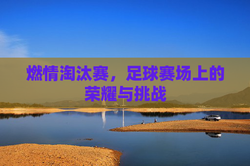 燃情淘汰赛，足球赛场上的荣耀与挑战