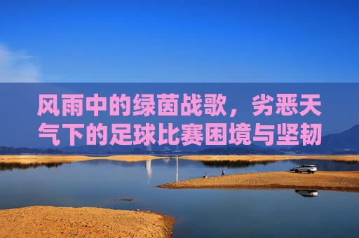 风雨中的绿茵战歌，劣恶天气下的足球比赛困境与坚韧，风雨中的绿茵战歌，劣恶天气下的足球比赛困境与坚韧