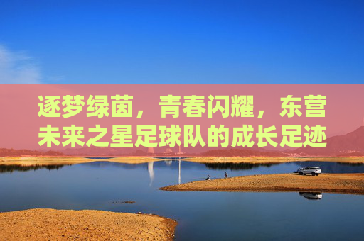 逐梦绿茵,青春闪耀,东营未来之星足球队的成长足迹,逐梦绿茵,青春闪耀,东营未来之星足球队的成长足迹