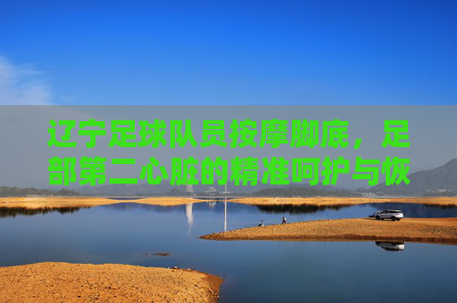 辽宁足球队员按摩脚底，足部第二心脏的精准呵护与恢复奥秘，辽宁足球队员按摩脚底，解锁足部第二心脏的精准恢复奥秘