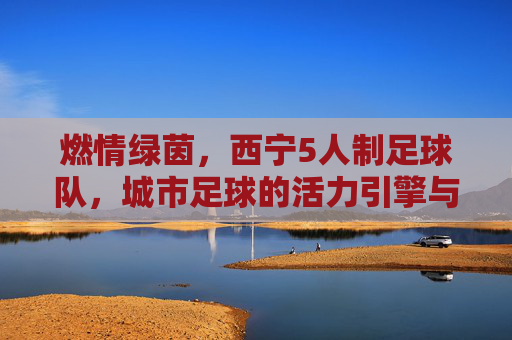 燃情绿茵，西宁5人制足球队，城市足球的活力引擎与青春绽放