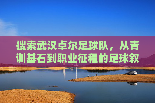 搜索武汉卓尔足球队，从青训基石到职业征程的足球叙事