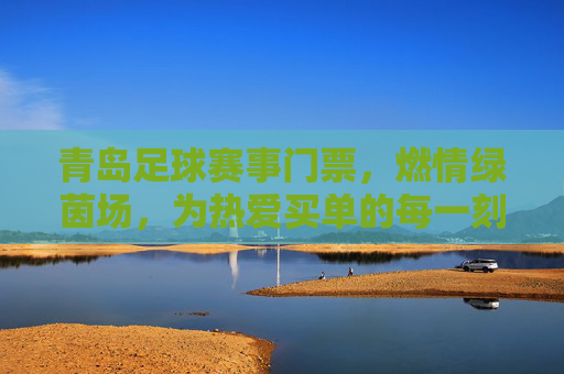 青岛足球赛事门票,燃情绿茵场,为热爱买单的每一刻