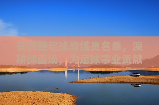 安徽籍足球教练员名单，深耕绿茵场，为足球事业贡献力量