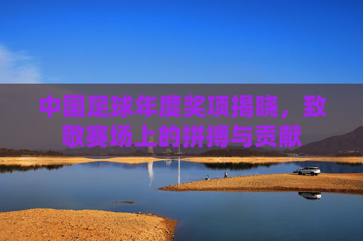 中国足球年度奖项揭晓，致敬赛场上的拼搏与贡献