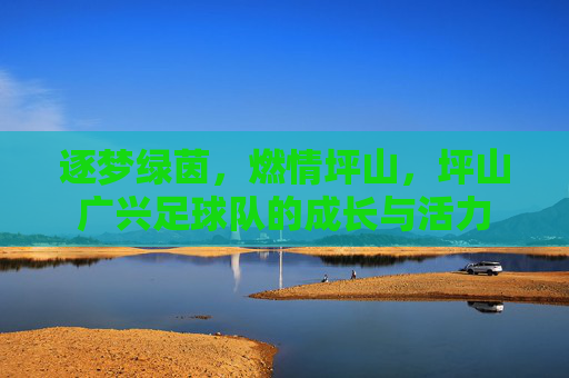 逐梦绿茵，燃情坪山，坪山广兴足球队的成长与活力