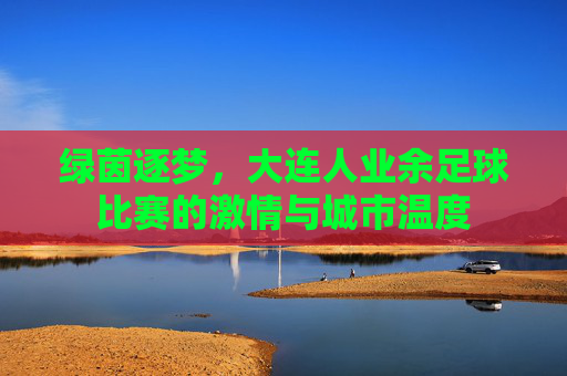 绿茵逐梦，大连人业余足球比赛的激情与城市温度