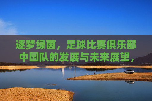 逐梦绿茵，足球比赛俱乐部中国队的发展与未来展望，逐梦绿茵，中国足球比赛俱乐部的发展与未来展望