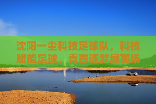 沈阳一尘科技足球队，科技赋能足球，青春逐梦绿茵场，沈阳一尘科技足球队，科技赋能足球，青春逐梦绿茵场