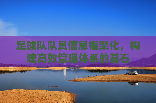 足球队队员信息框架化,构建高效管理体系的基石