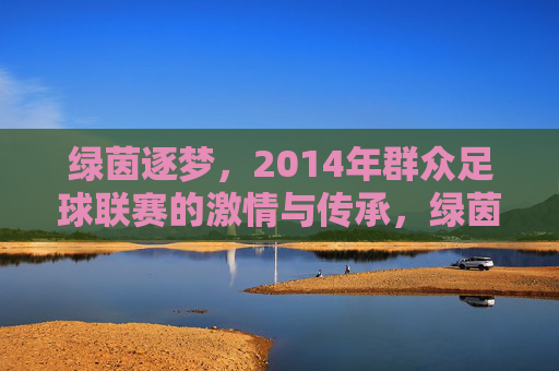 绿茵逐梦，2014年群众足球联赛的激情与传承，绿茵逐梦，2014年群众足球联赛的激情与传承