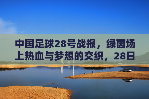 中国足球28号战报，绿茵场上热血与梦想的交织，28日赛事回顾与展望