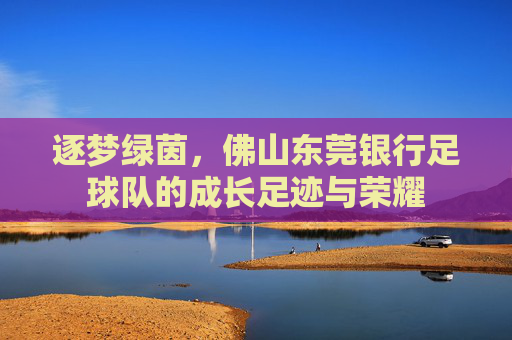 逐梦绿茵，佛山东莞银行足球队的成长足迹与荣耀