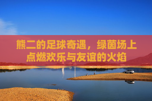 熊二的足球奇遇，绿茵场上点燃欢乐与友谊的火焰