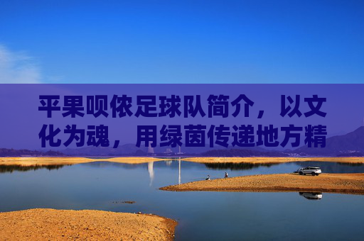 平果呗侬足球队简介，以文化为魂，用绿茵传递地方精神与青春活力