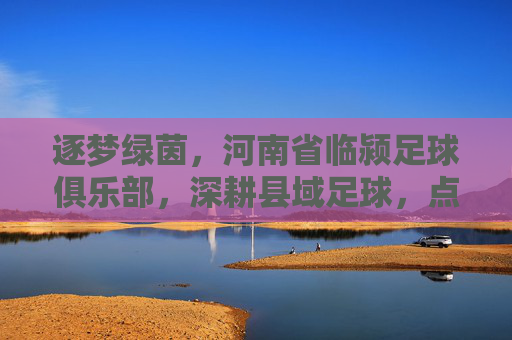 逐梦绿茵，河南省临颍足球俱乐部，深耕县域足球，点亮青春梦想的县域足球新标杆
