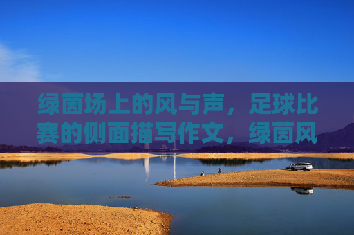 绿茵场上的风与声，足球比赛的侧面描写作文，绿茵风声，足球比赛的侧面描写作文