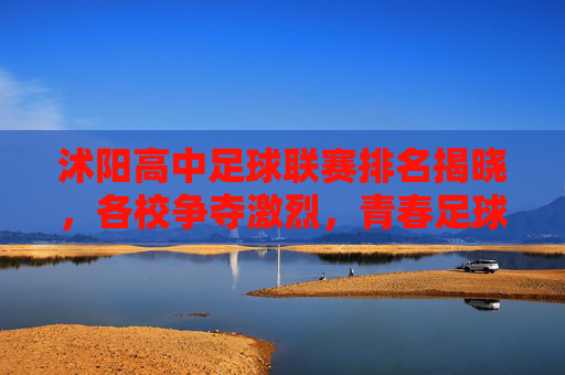 沭阳高中足球联赛排名揭晓，各校争夺激烈，青春足球绽放活力与拼搏精神