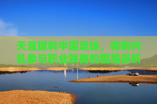 天涯爆料中国足球,体制内乱象与职业联赛的困局探析,天涯爆料中国足球,体制内乱象与职业联赛的困局探析