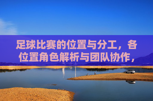 足球比赛的位置与分工,各位置角色解析与团队协作,足球比赛位置与分工,各位置角色解析及团队协作