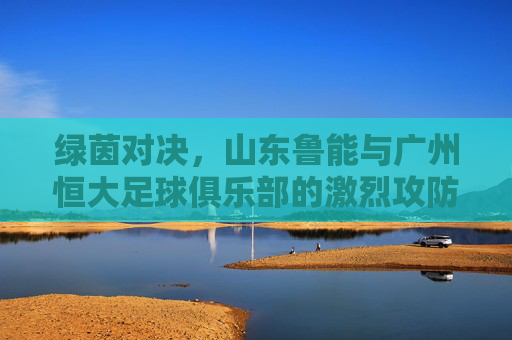 绿茵对决，山东鲁能与广州恒大足球俱乐部的激烈攻防较量