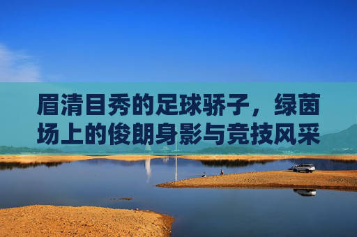 眉清目秀的足球骄子,绿茵场上的俊朗身影与竞技风采