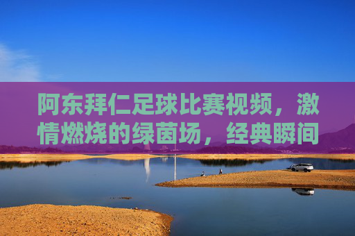 阿东拜仁足球比赛视频，激情燃烧的绿茵场，经典瞬间永存，阿东拜仁足球比赛视频，激情燃烧的绿茵场，经典瞬间永存