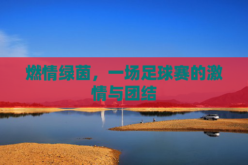 燃情绿茵，一场足球赛的激情与团结