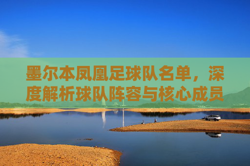 墨尔本凤凰足球队名单，深度解析球队阵容与核心成员